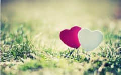 Ů˸еͼƬ˵˵