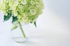ڻǧǵqq