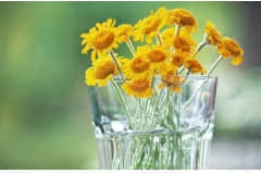 ĸǩ