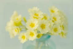 һ鲻˵Ļ