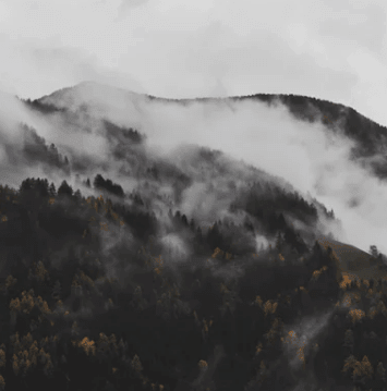 ƣĺȦռ˴Ƭıˣǵǲɵĳǽ