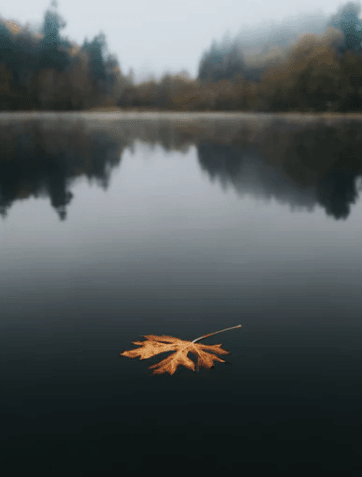 ˵˵Ҿϲķ˵˵ɣ