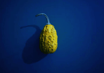 ʺȦ½õ˵˵ﲻʹˣ㵱ø