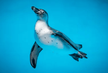 ʺϷȦĹѼ˵˵ȫ