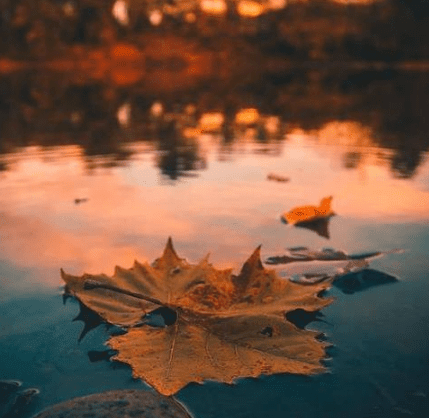 ʺϷȦװƵİ˵˵ûʲôãҲô