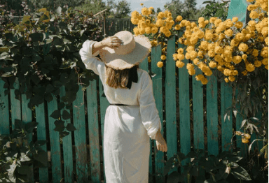 2018ĸ׵ľ˵˵ȫ