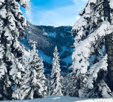 ںýõ˵˵Сǿɢǽ
