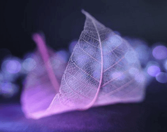 ֿ˵˵ҳ磬ֻǵ㡣