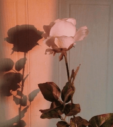 ΢۵˵˵ģһ㲻ڴ...