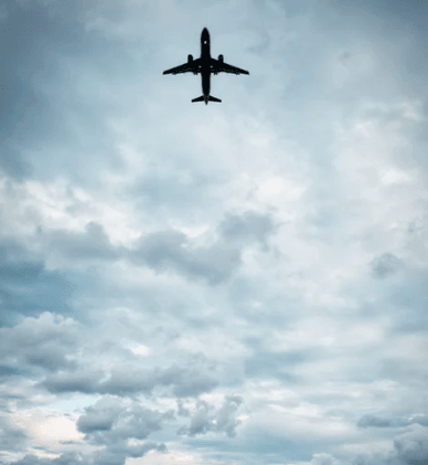 İ˵˵2019£ԽţƵԽǫ飬ԽеĵԽ