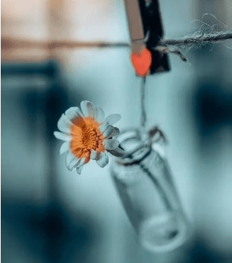 Ψůֿ˵˵;΢ЦУѿ