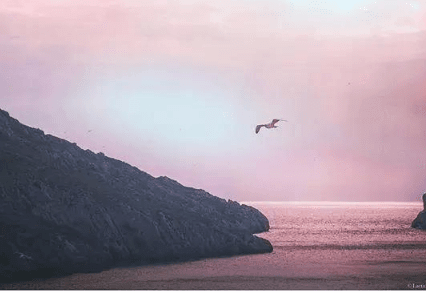 ¼ȥ2018˵˵ ΢űػ˵˵