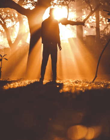 2019Լܰ΢˵˵ Ϊ̫͸ſʼĲ