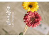 qqǩ۸ǩ һĸǰǩ
