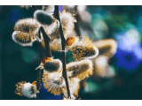 2019־˵˵ԼĸıȥԼµ