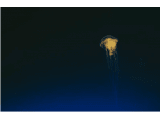 2019ֿ˵˵ȫԶǷ羰Ĳ