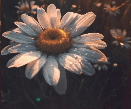 ־˵˵ վǱ˵ܽ
