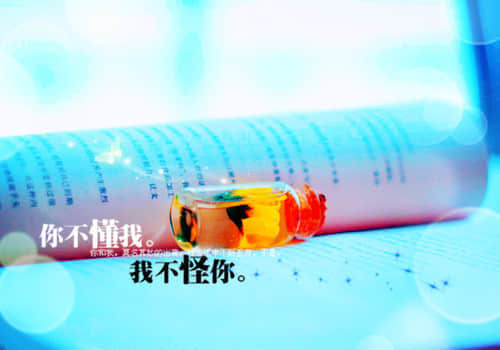 ˲˸¼65