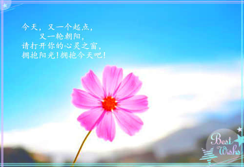 ϣԼŬƴ־˵˵50