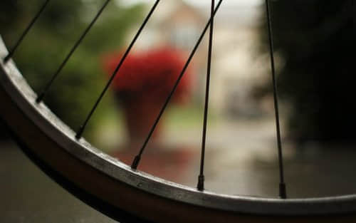 ڰ˸еľӣ73