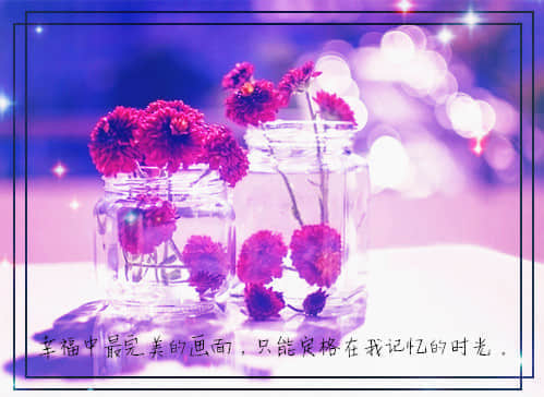 ʺϷȦ־˵˵ȫ56