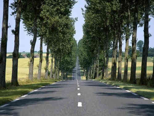 ڹӣ80